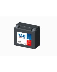 Motorfietsbatterij 82001 AGM